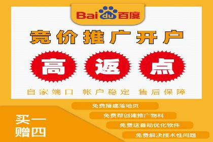 百度竞价排名策略解析及实战案例